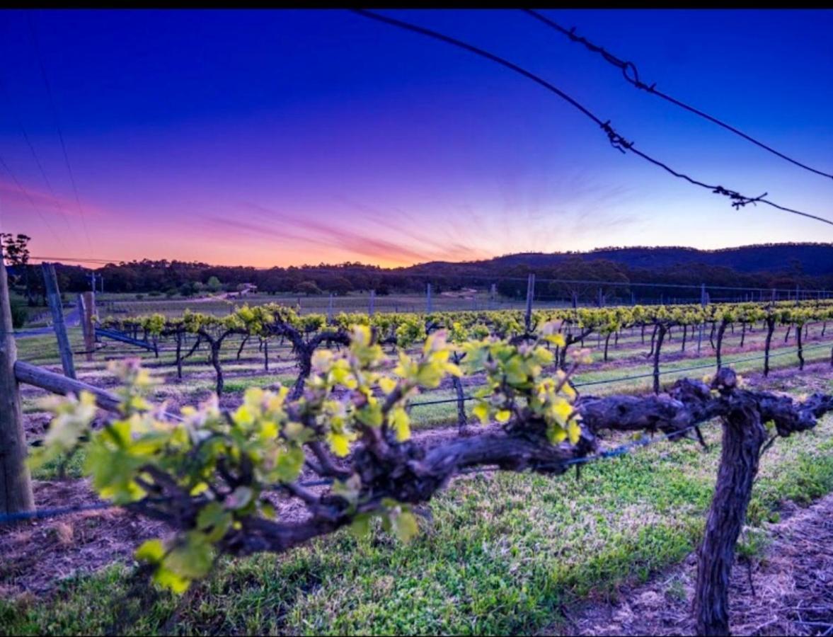 #Grampians Views Getaway #Cbd #Netflix Apartamento Stawell Exterior foto